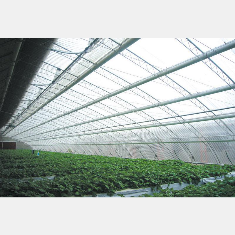 專業構筑，智慧生長 盛騰溫室引領蔬菜大棚現代化建造新風尚