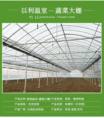 以利農業 專業化設計與一站式服務，打造高效智能的花卉養殖大棚與連棟玻璃溫室
