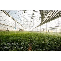 智慧農業之選 卓振智能，大棚種植的領先解決方案