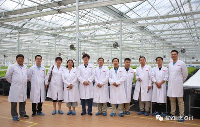 探秘京東植物工廠 產銷一體化，大棚材料與配套設施破解農產品銷售難題