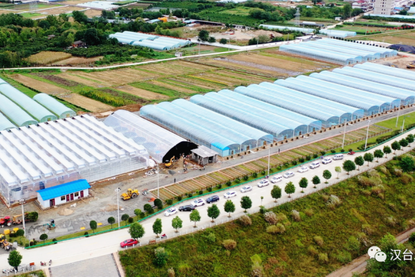 漢中市2023年三季度重點項目觀摩走進漢臺 農(nóng)業(yè)溫室項目引領鄉(xiāng)村振興新篇章